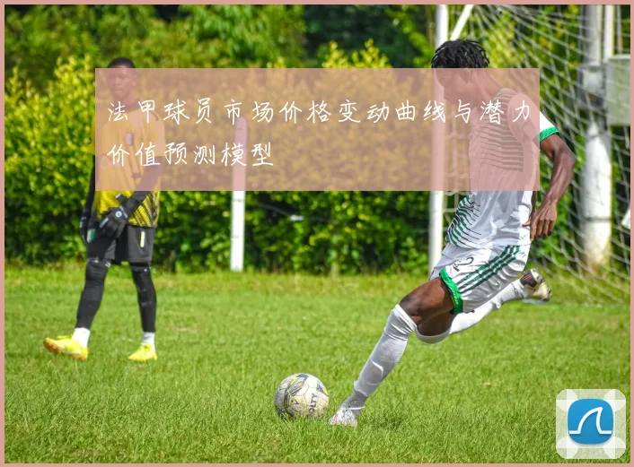 法甲球员市场价格变动曲线与潜力价值预测模型