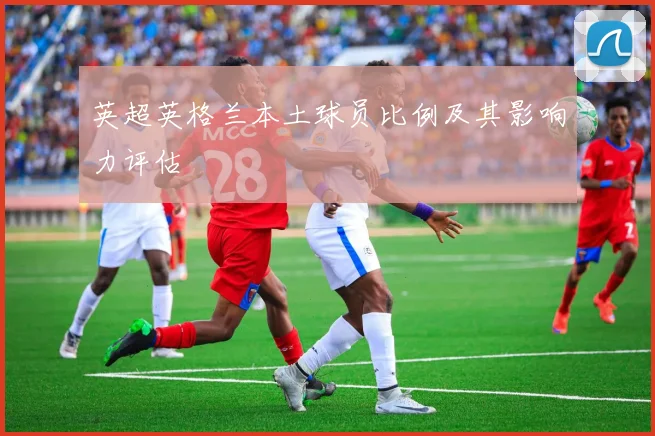 英超英格兰本土球员比例及其影响力评估