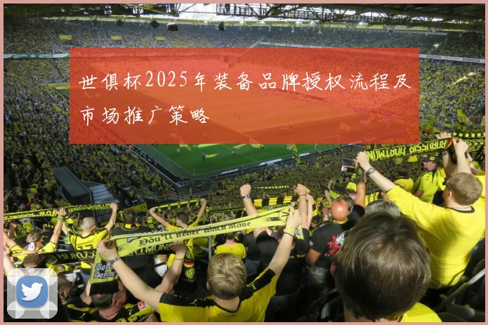 世俱杯2025年装备品牌授权流程及市场推广策略