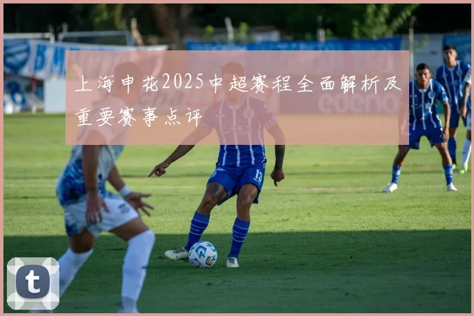 上海申花2025中超赛程全面解析及重要赛事点评