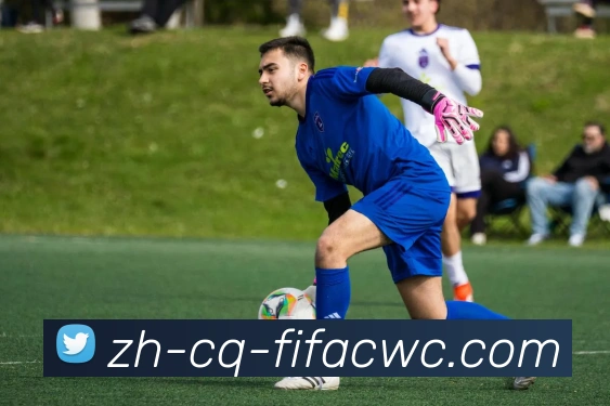 世界杯在线观看发展历程